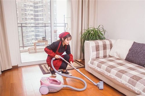 甘肅匯通博納室內開荒保潔工程 專業清潔與除四害服務詳解